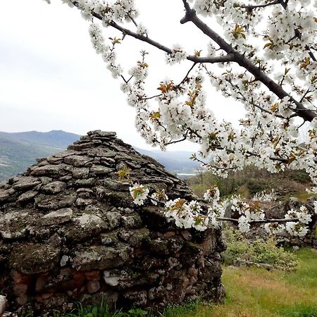 Apartamento Rural Amaluna El Torno  Dış mekan fotoğraf