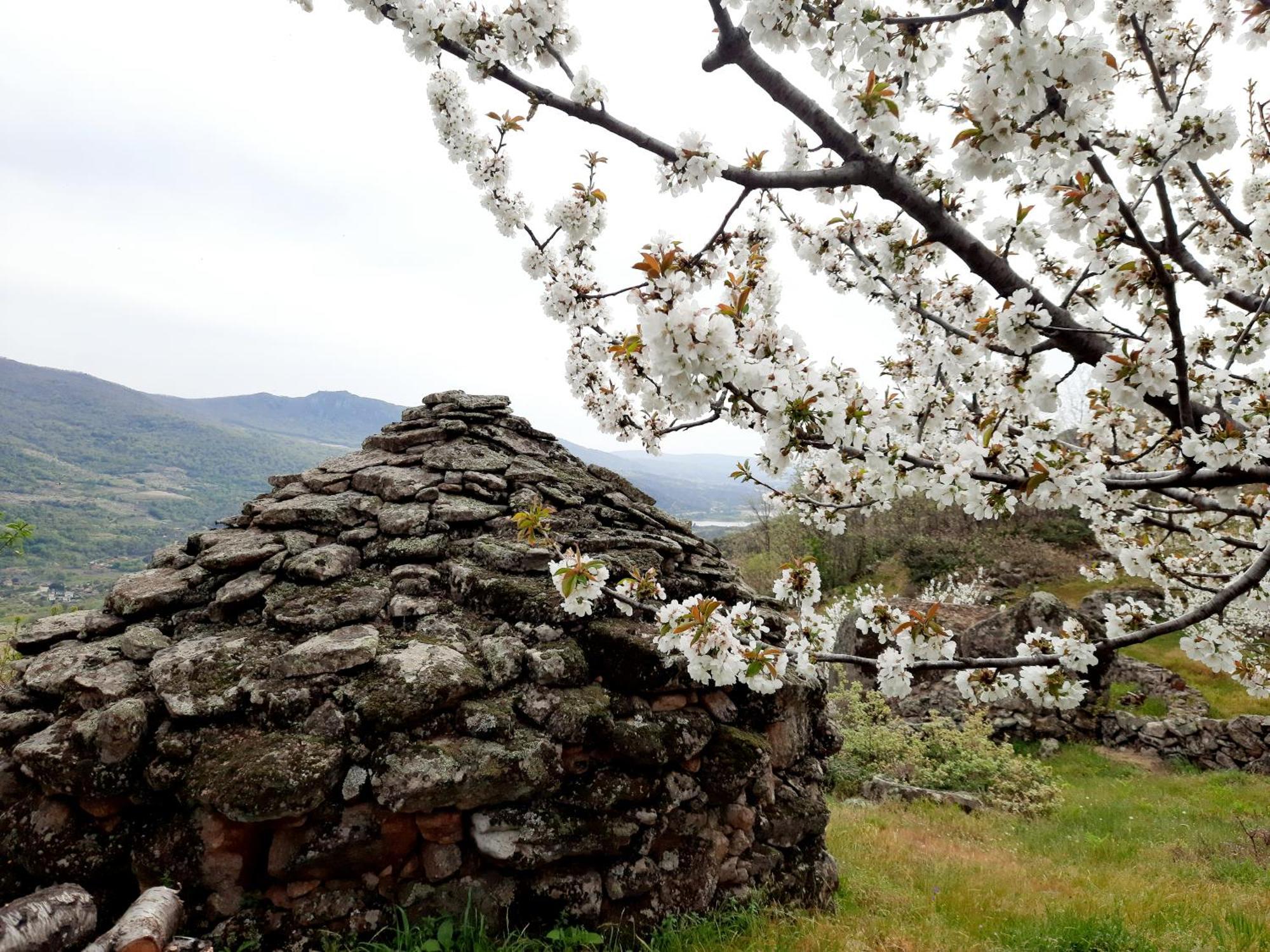 Apartamento Rural Amaluna El Torno  Dış mekan fotoğraf